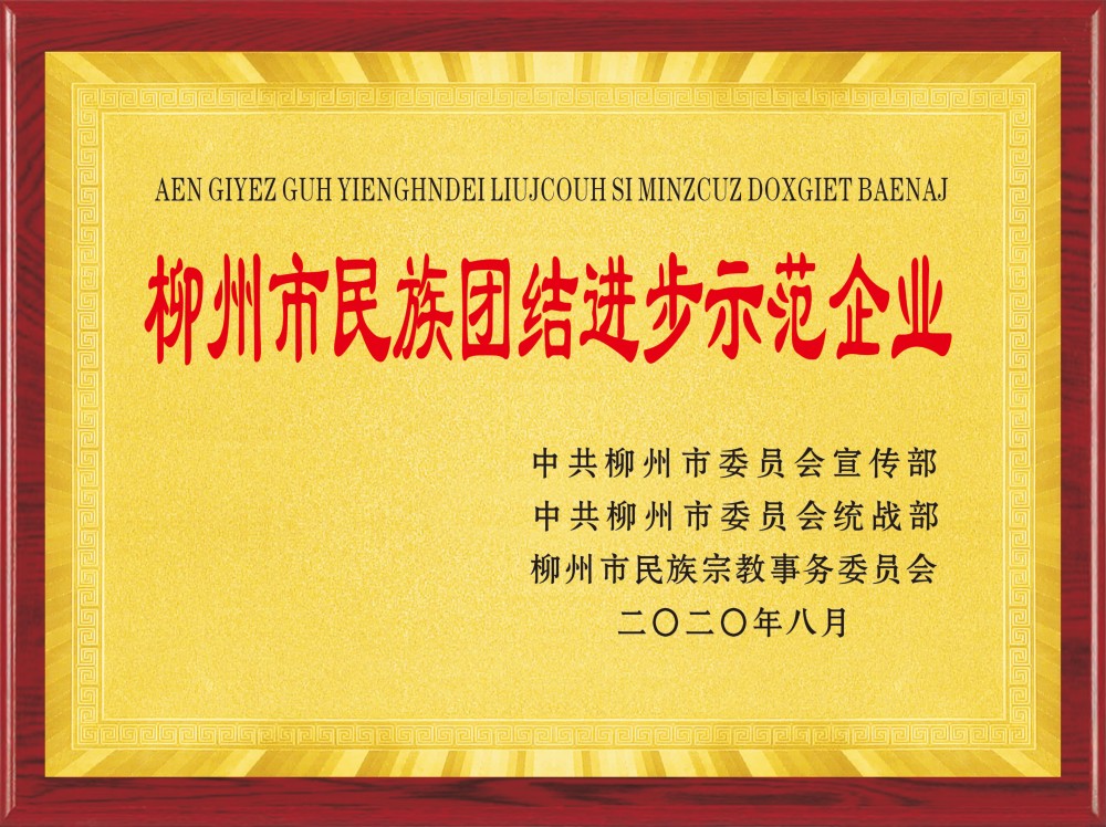 柳州市民族团结进步示范企业