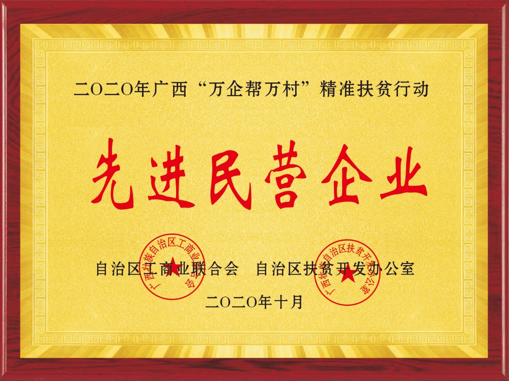 先进民营企业