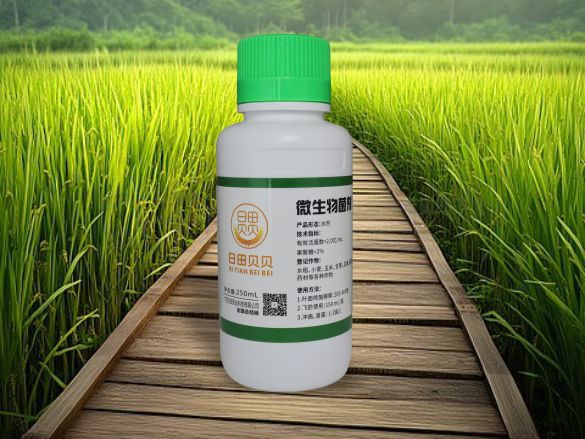 日田贝贝果聚糖-瓶装-250mL———— 市场零售价：30.00元/瓶