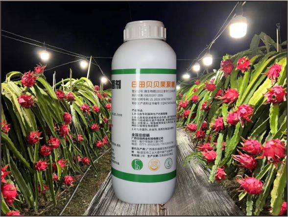 日田贝贝果聚糖-瓶装-1000mL————市场零售价：120.00元/瓶